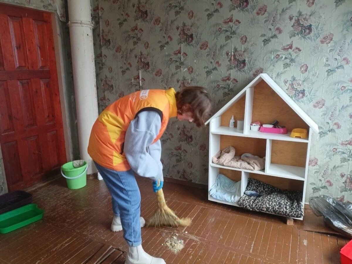 добрые поступки. акция доброе дело. доброе дело помощь. добрые дела пожилым людям. доброе дело помощь.