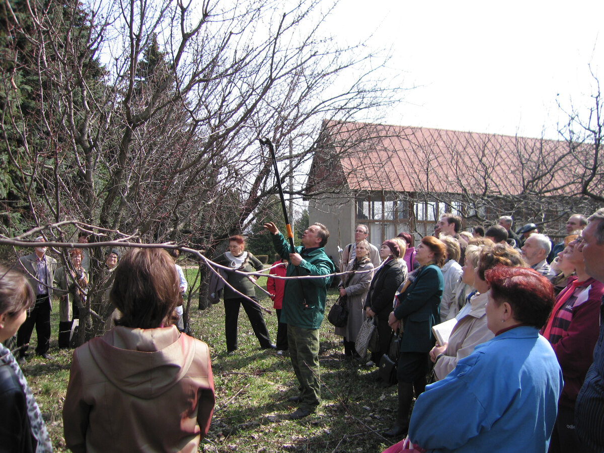 зачем садовод осенью при первых