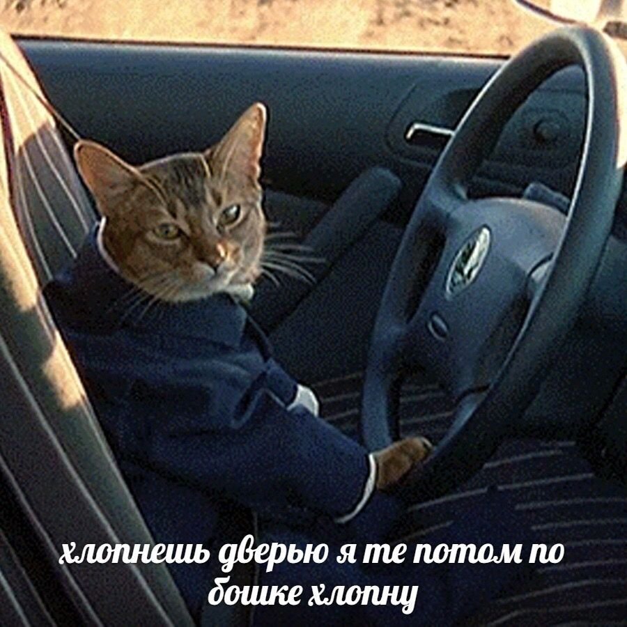 источник Яндекс-картинки