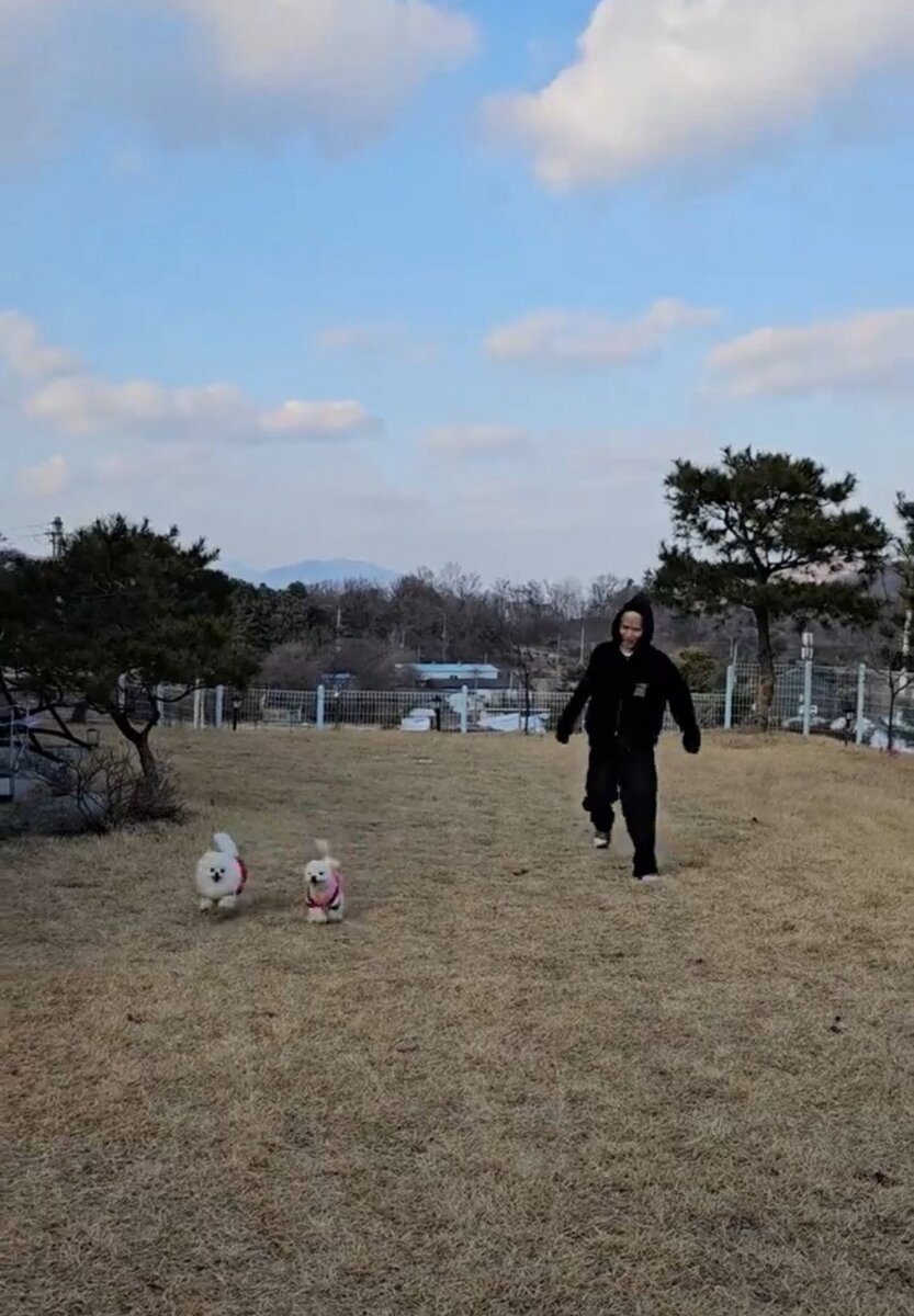 фанат дом. фанат дом. дом болельщика. фанат дом. фанат дом.