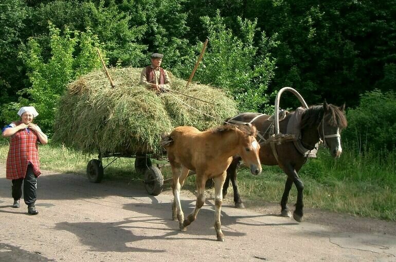   Игорь Самохвалов/ПГ