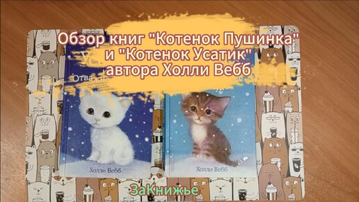 Обзор книги 