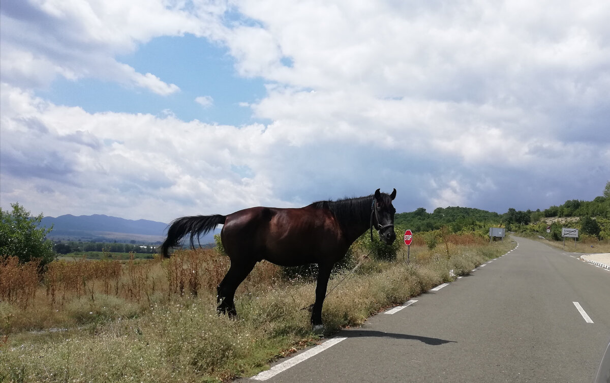 Фото из личного архива