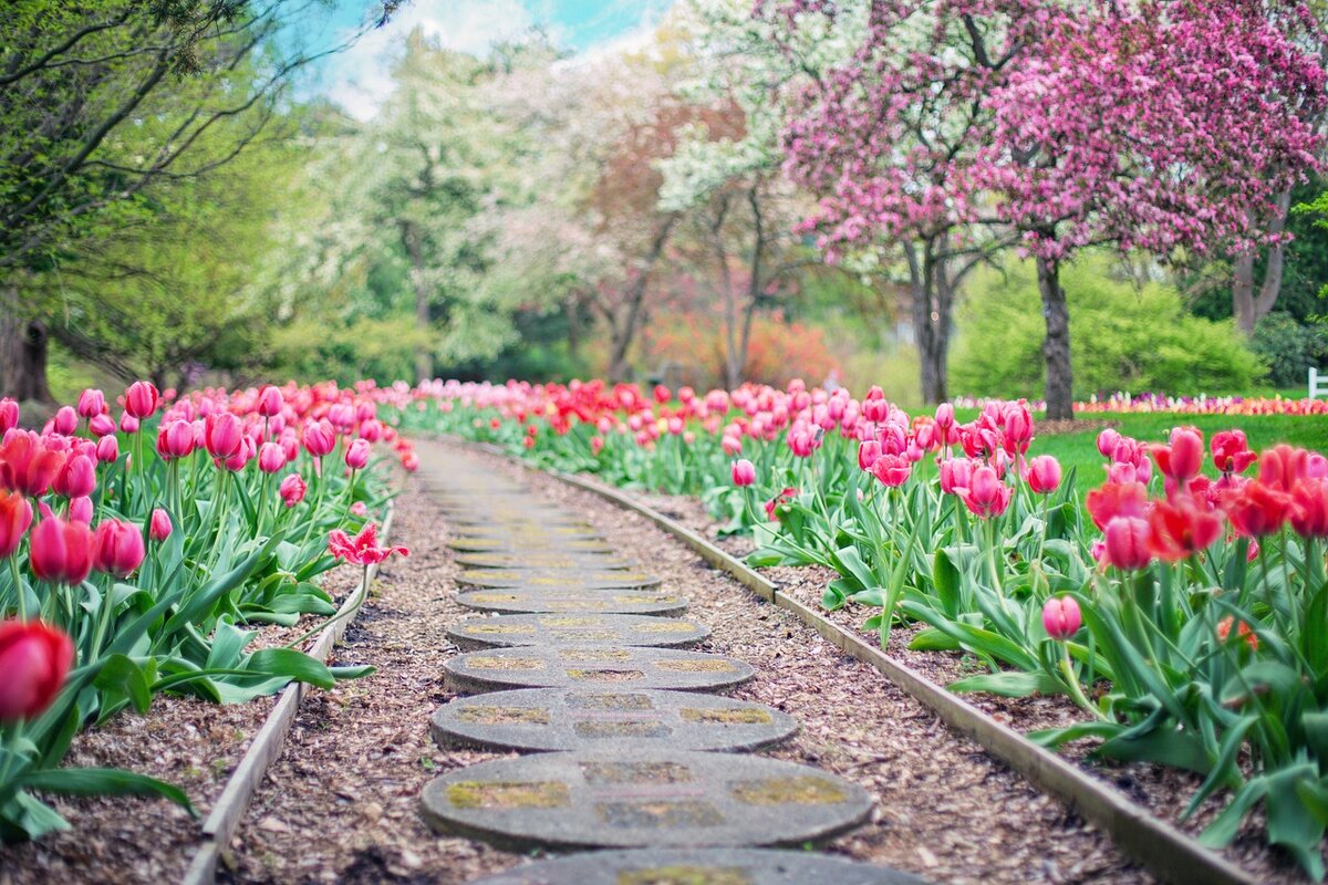 Фото: pixabay.com