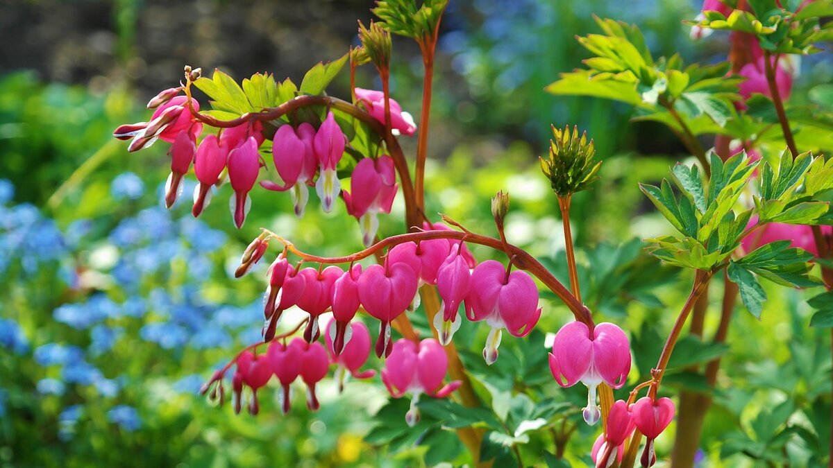Фото: pixabay.com