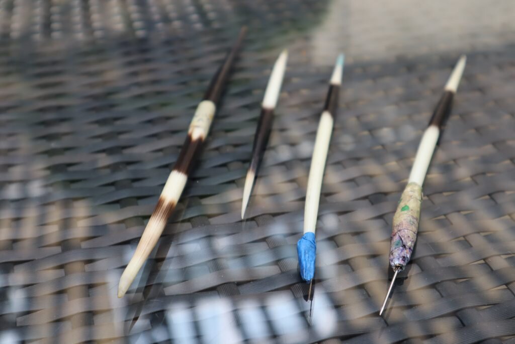 Иглы дикобраза в студии Ракиба Шоу