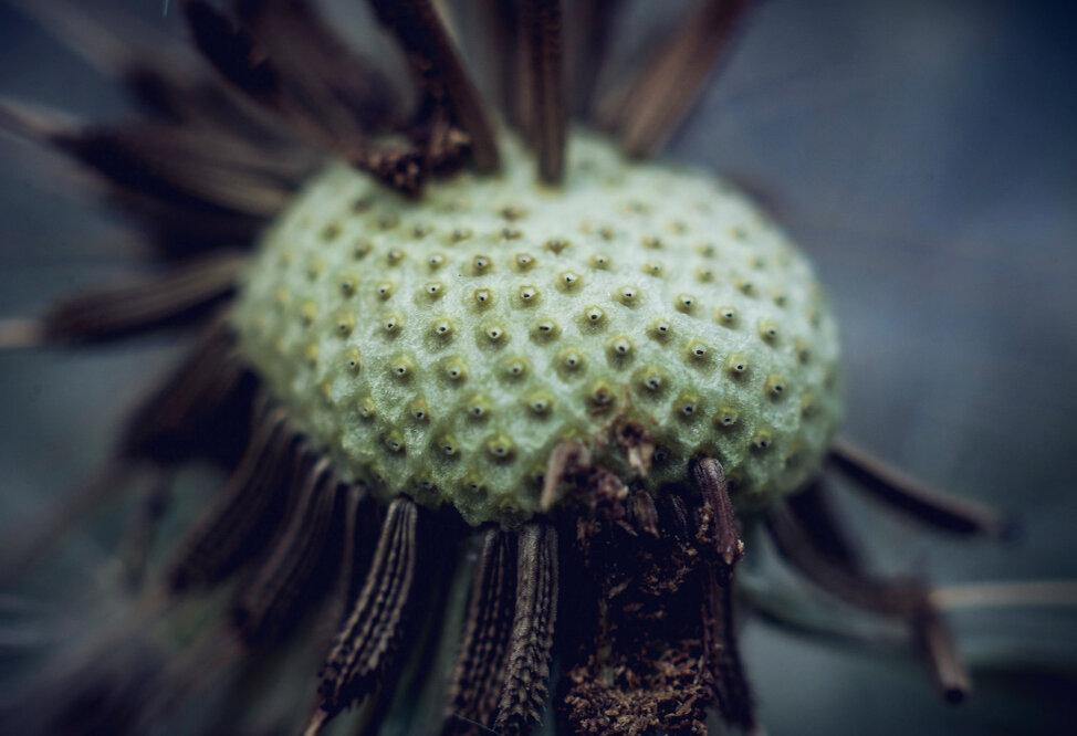 Источник фото: www.flickr.com