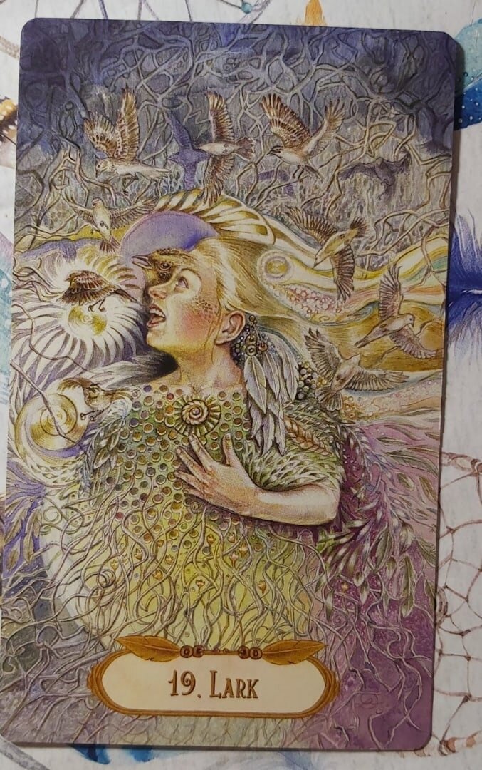 Колода:"The Winged Enchantment Oracle Deck by Lesley Morrison & Lisa Hunt