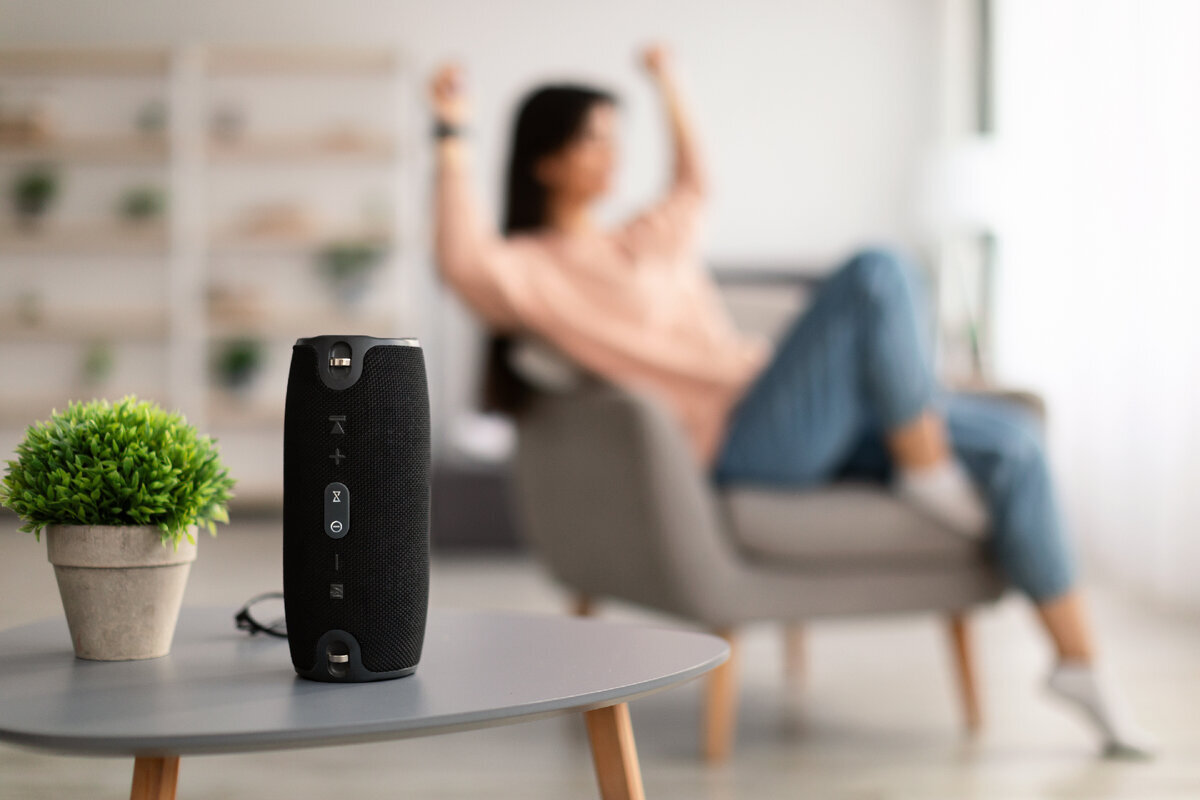 Топ лучших портативных колонок JBL