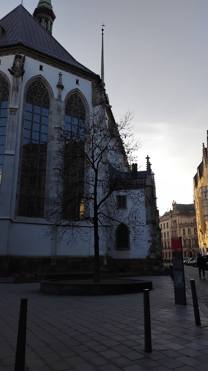 Личное фото от автора 