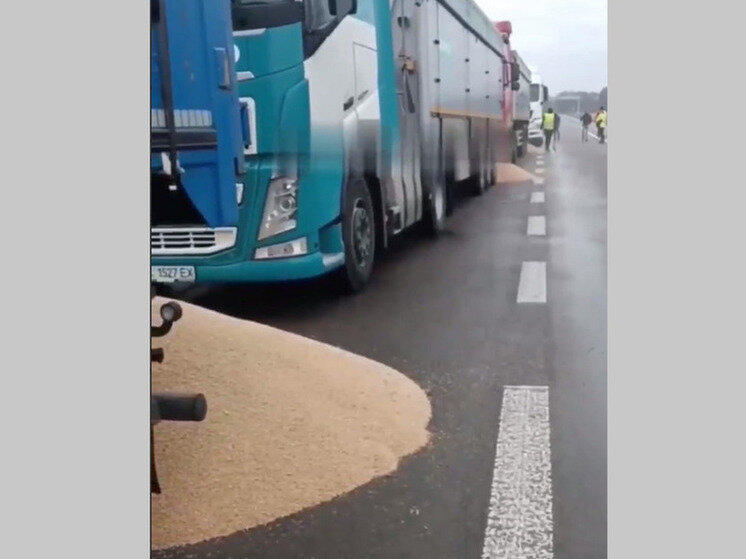 Экспорт украины