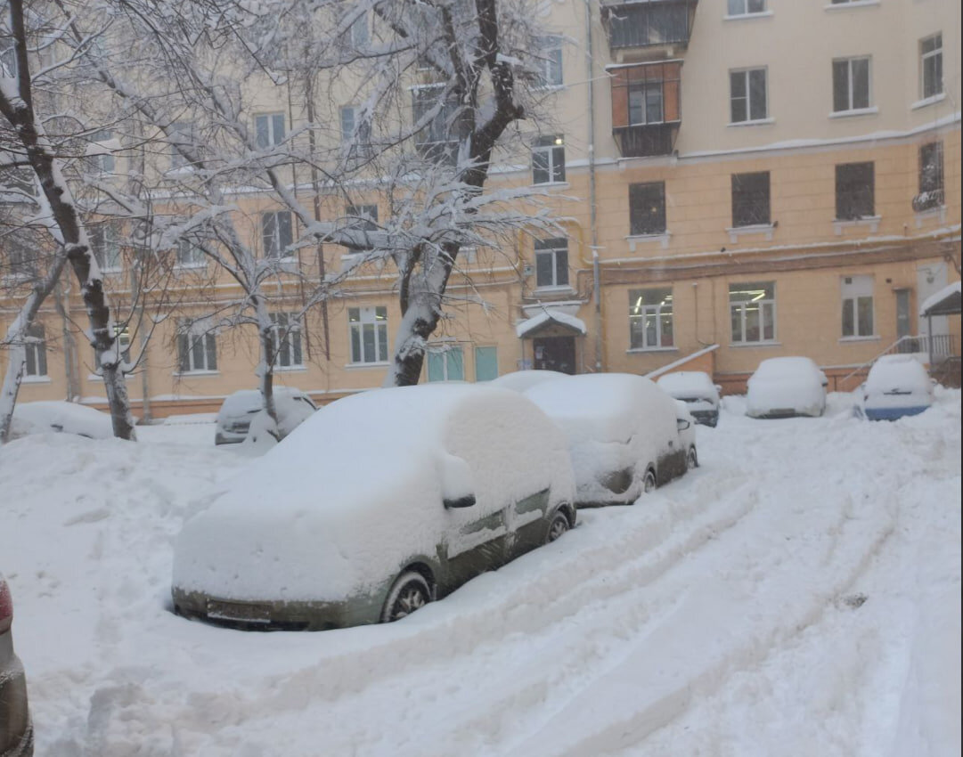 Поселившись в новом доме, жилец быстро понял свою ошибку и принял необычные  меры | БУМАЖНЫЙ ГВОЗДЬ | Дзен