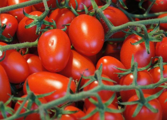 Томат хробры f1. Какие помидоры урожайные. Какие помидоры урожайные. Томат самара f1. Томат карликовый анабель.