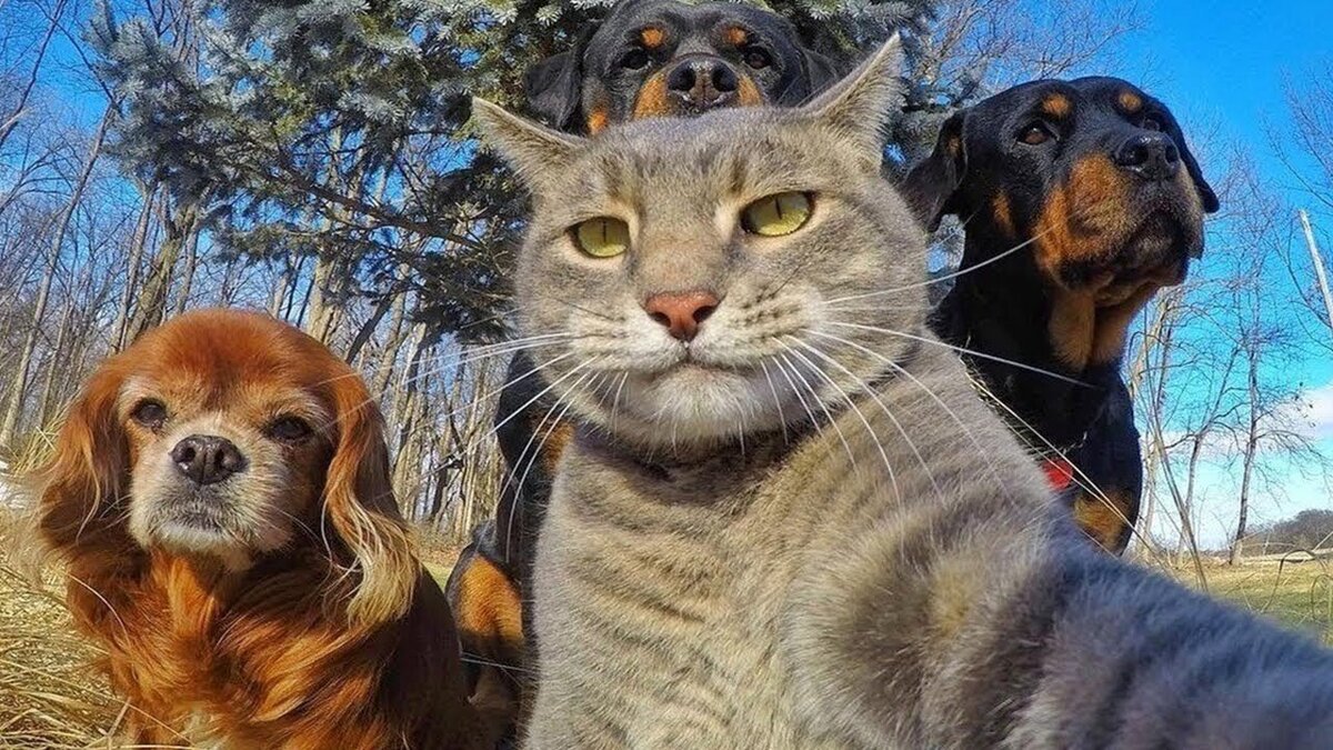 Комната для сдачи. Квартиры на длительный срок без посредников. Снять на длительный срок. Квартира на длительный срок. Квартира на долгий срок без посредников.