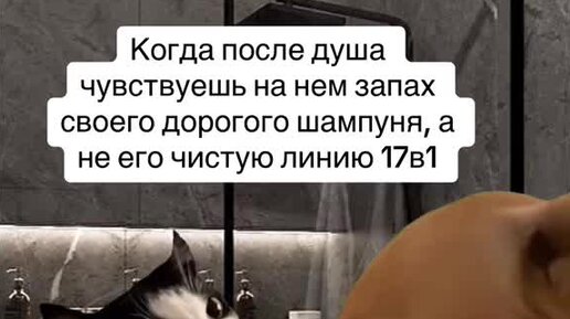 кошкина 2024. кошкина 2024. кошкина 2024. кошкина 2024. ламборджини яны кошкиной.