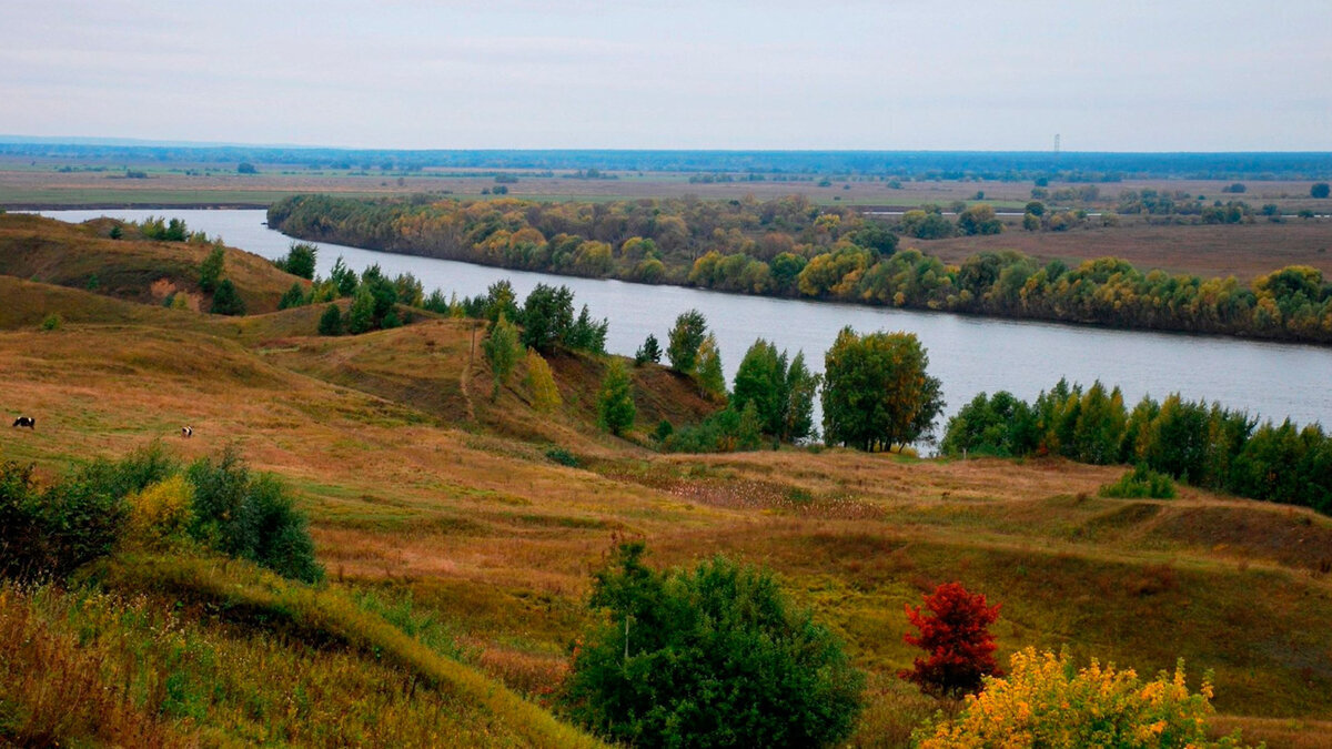 Рязань село есенина. Село Константиново Рязанская область. Селе Константиново Рязанской губернии.