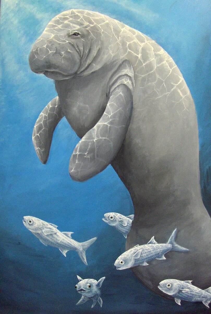 Фото из открытого источника 