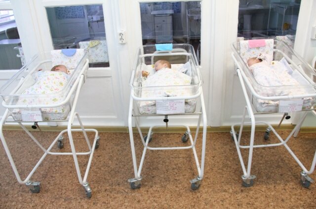    В 2023 году в омской семье родилась тройня. Фото:  АиФ/ Владимир Казионов
