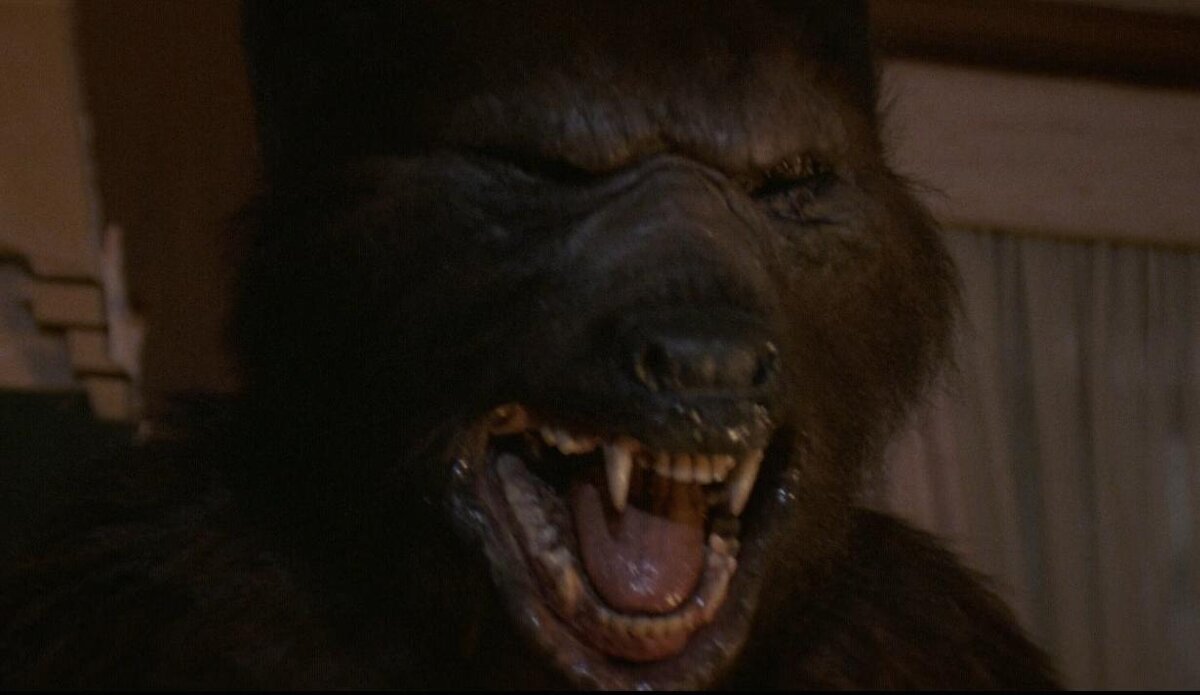 Кадр из фильма "Серебряная пуля" (1985)