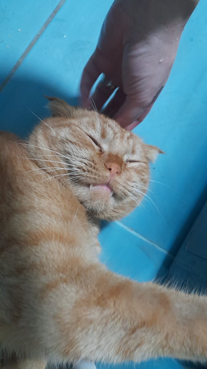 Веснаааааа