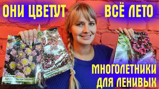 Descargar video: Завалило многолетниками! Показываю ЦВЕТЫ ДЛЯ ЛЕНИВЫХ! Цветут КРАСИВО, ухода НЕ ТРЕБУЮТ!