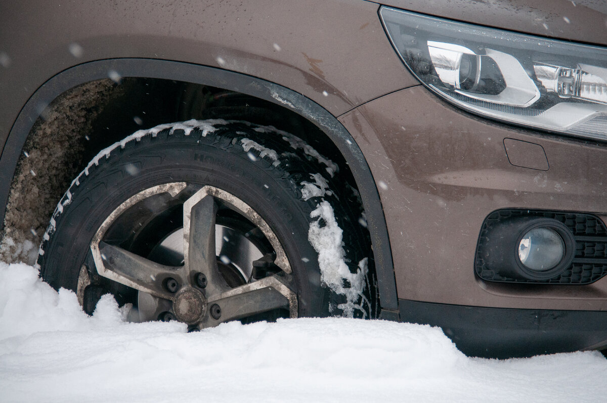 Фото: Svetlana Vozmilova/Global Look Press