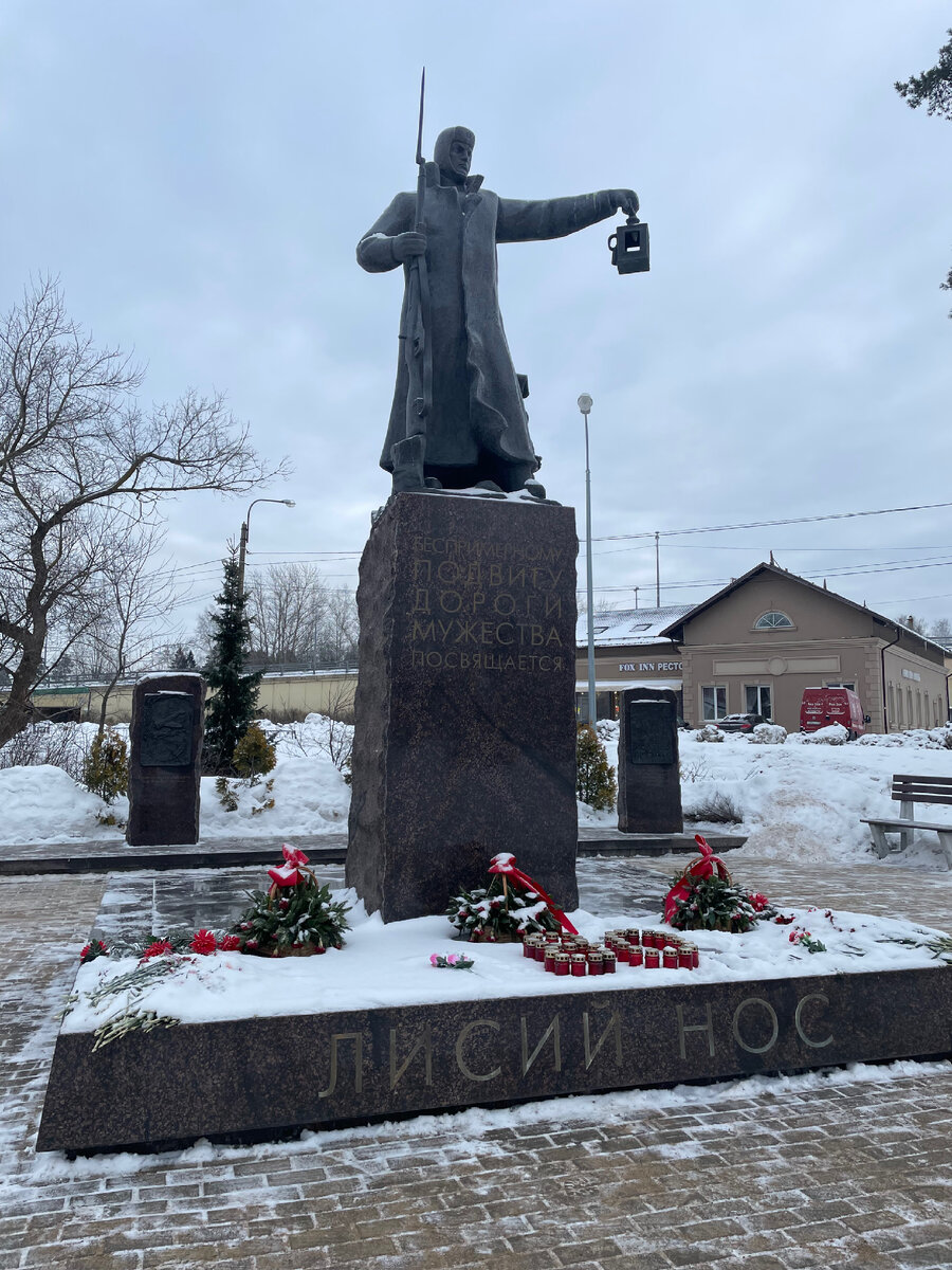 Прогулка по поселку Лисий нос. Встретили несколько лис. | Коллекция  путешествий | Дзен