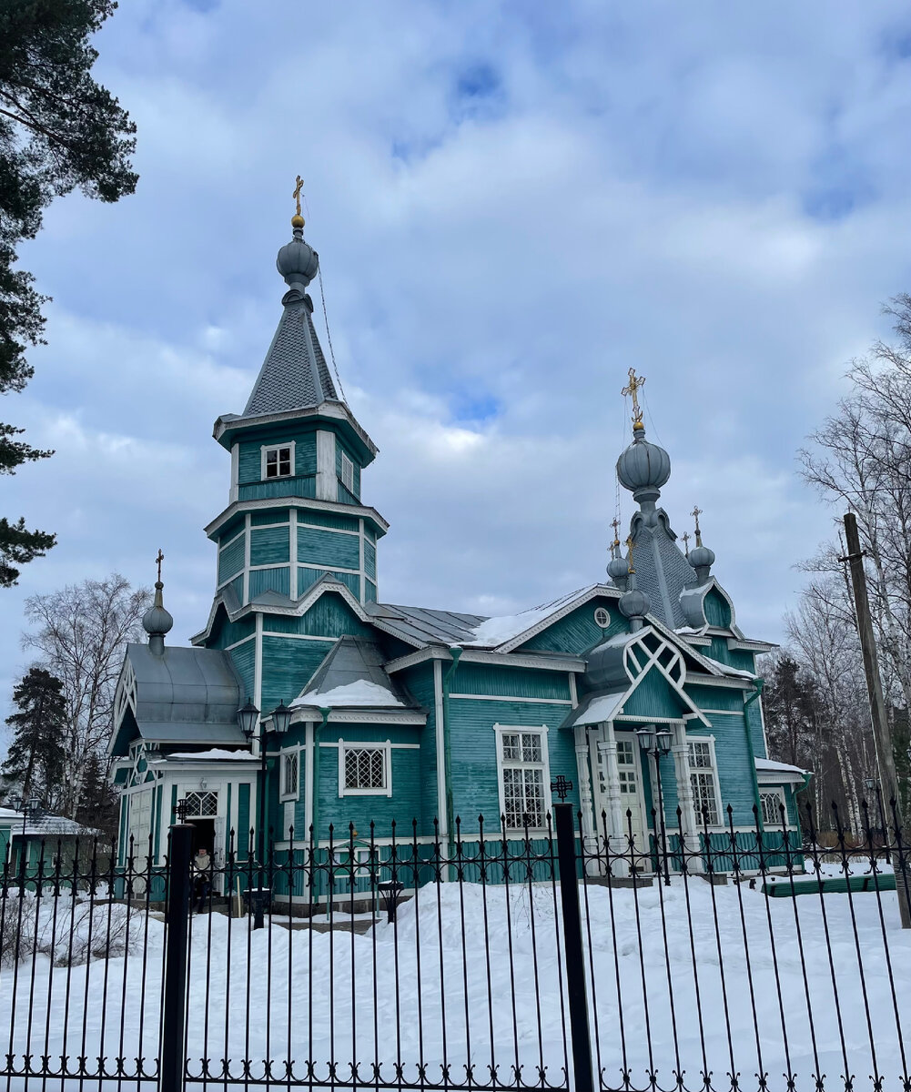 Прогулка по поселку Лисий нос. Встретили несколько лис. | Коллекция  путешествий | Дзен