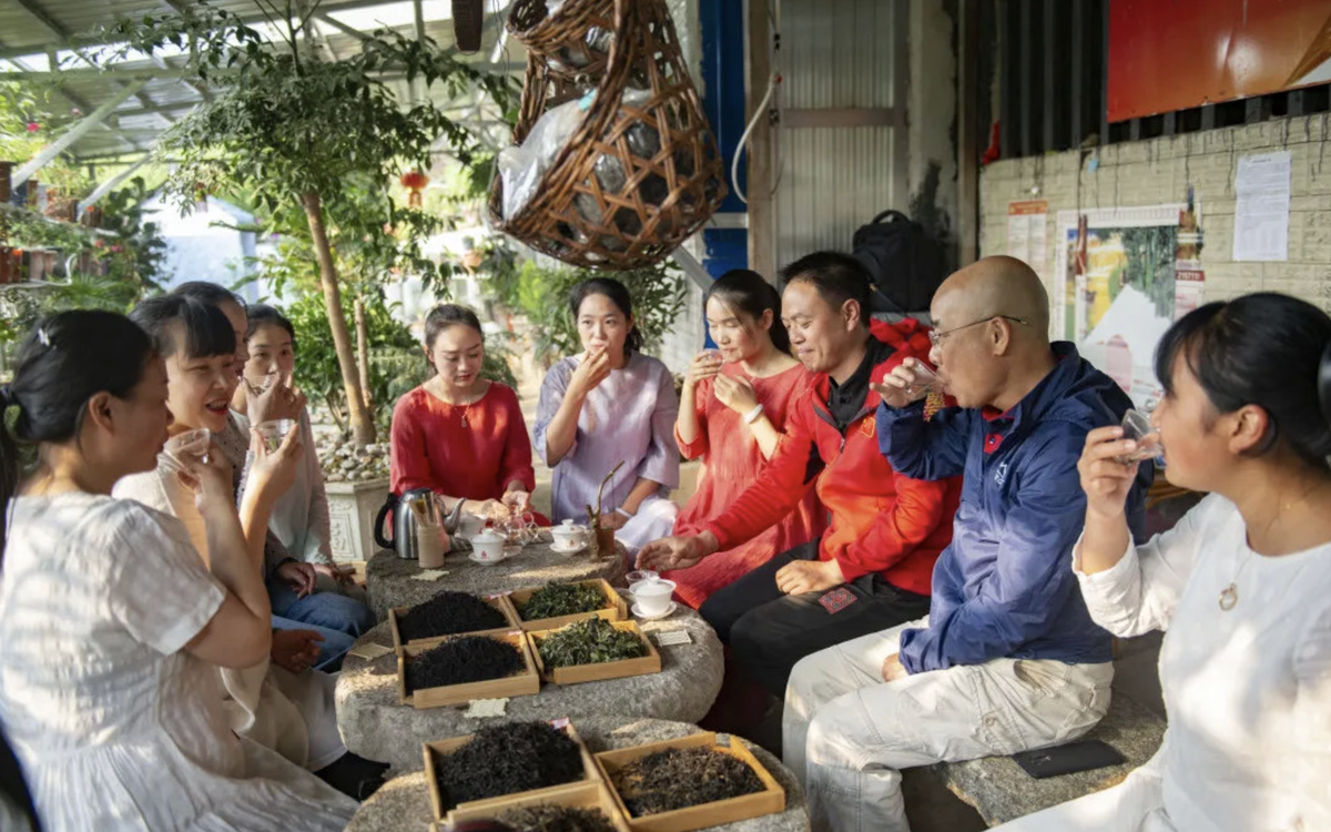 Дегустация чая