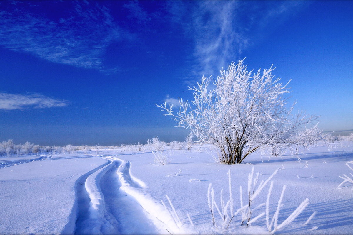 Солнечный день январь. Солнечный зимний день. Зимнее небо. Морозный зимний день. Зима солнце.