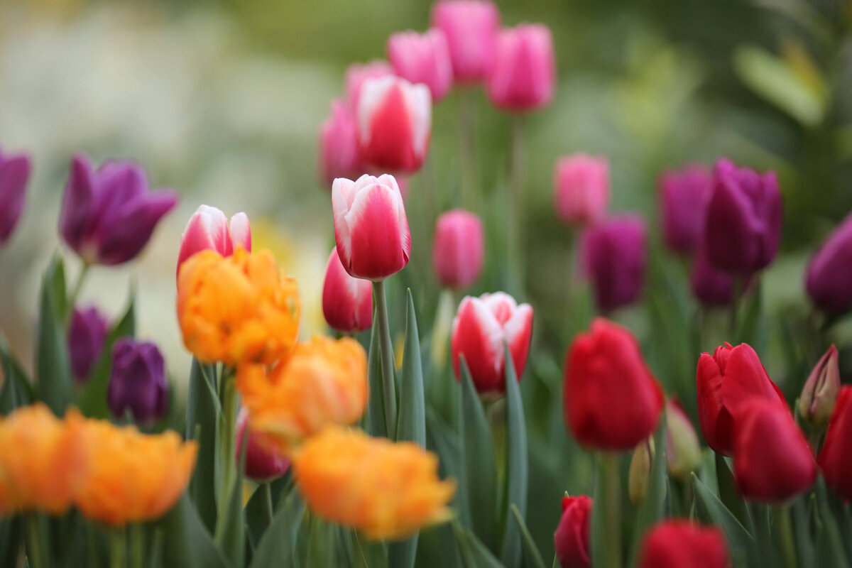 © Фото: ИД «Волгоградская правда» / архив