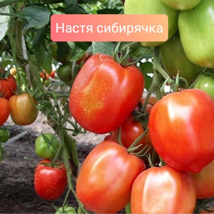 Универсальные параметры. Универсальная характеристика гидротурбины ро170. Электрическое и магнитное поле промышленной частоты (50 гц). Векторные физические величины и скалярные. Политическая коммуникация.