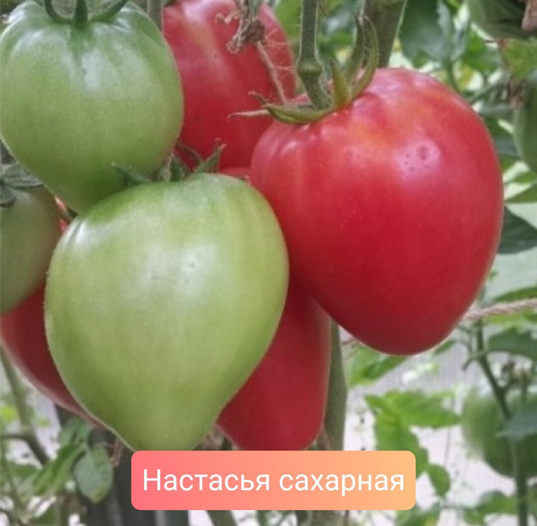 настя воздух