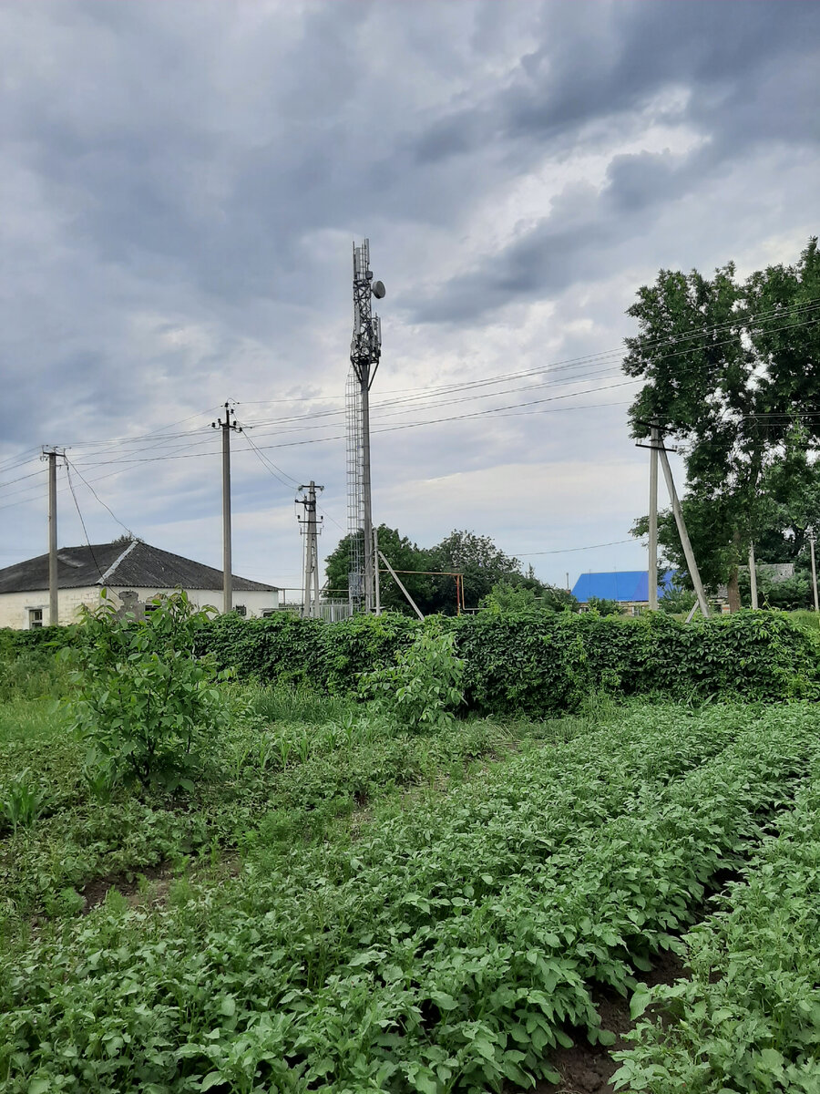 Огороды- спасение 90х