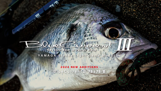 Обзор Yamaga Blanks Blue Current III 74