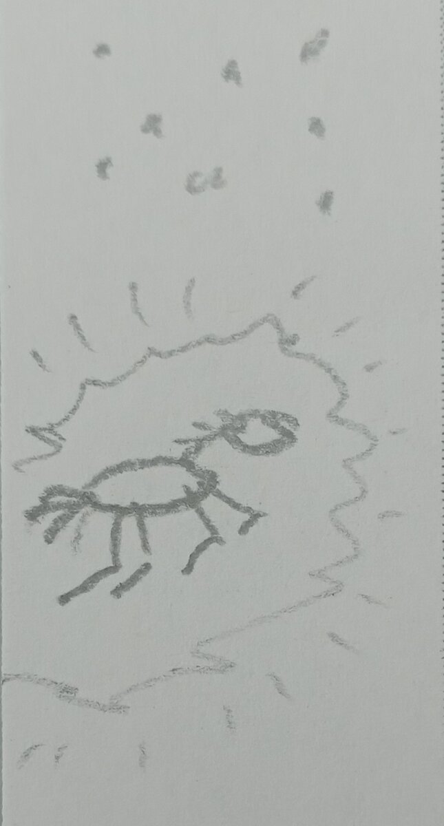 Рисунок автора. Дохлая лошадь.