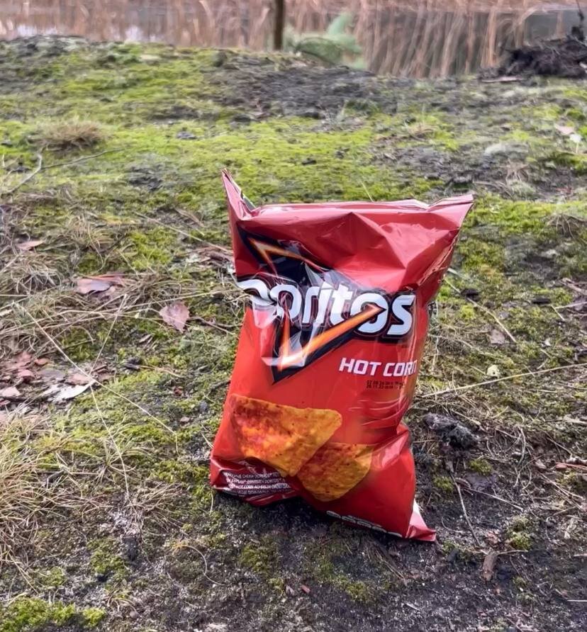 Посиделки у костра. Загореться от искры и загореться от искры. Почему у костра разлетаются с искрами с треском?. Вечер у костра. Горящий огонь.