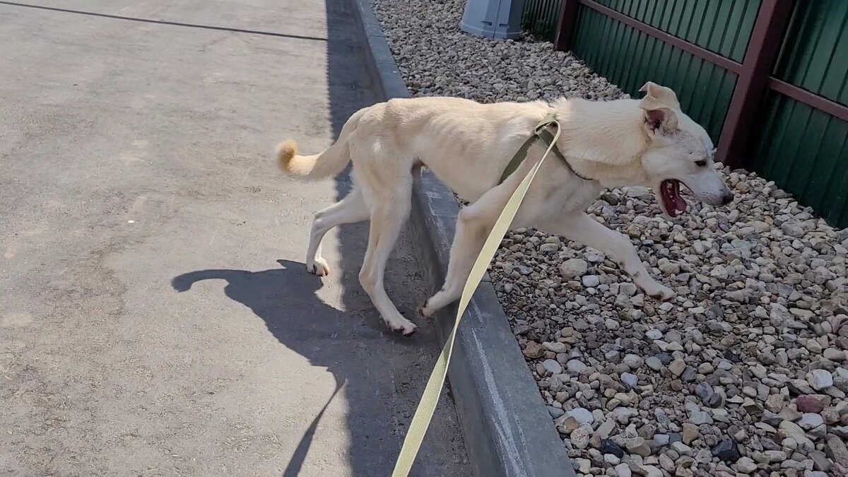 Малинки малинки. Малина иконка. Малинка новосибирск. Малинка 2023. Малинка 2023.