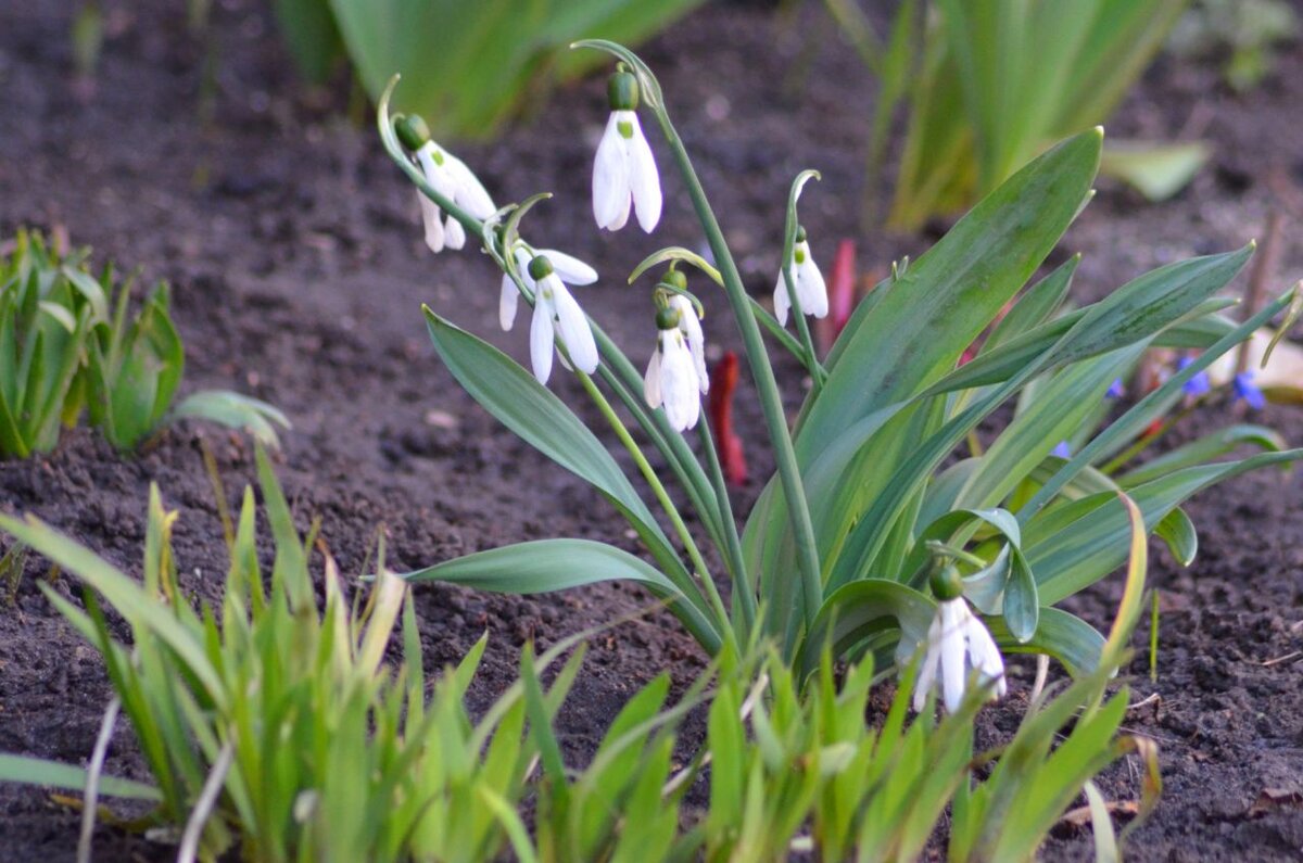 Вместе с приходом весны можно впустить в свою жизнь добрые перемены. Главное избавиться до конца зимы от всего, что не дает им войти в нашу жизнь