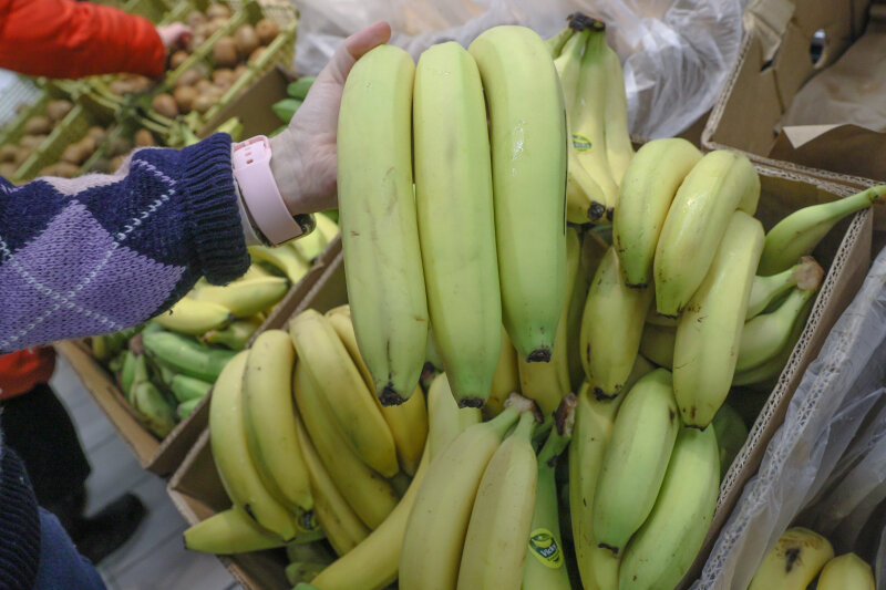    Фото: © Bulkin Sergey/ news.ru/ Global Look Press