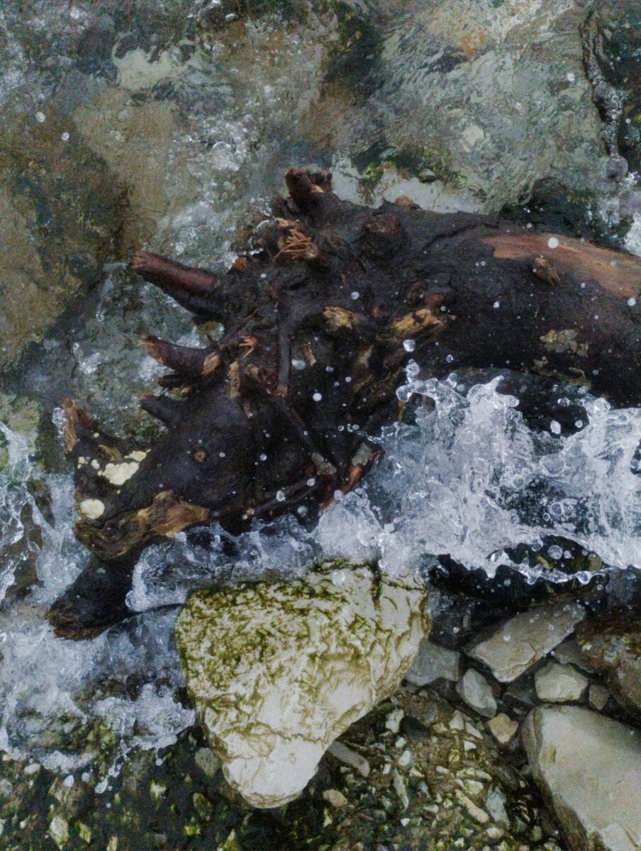 г. Новороссийск, февраль, 2024