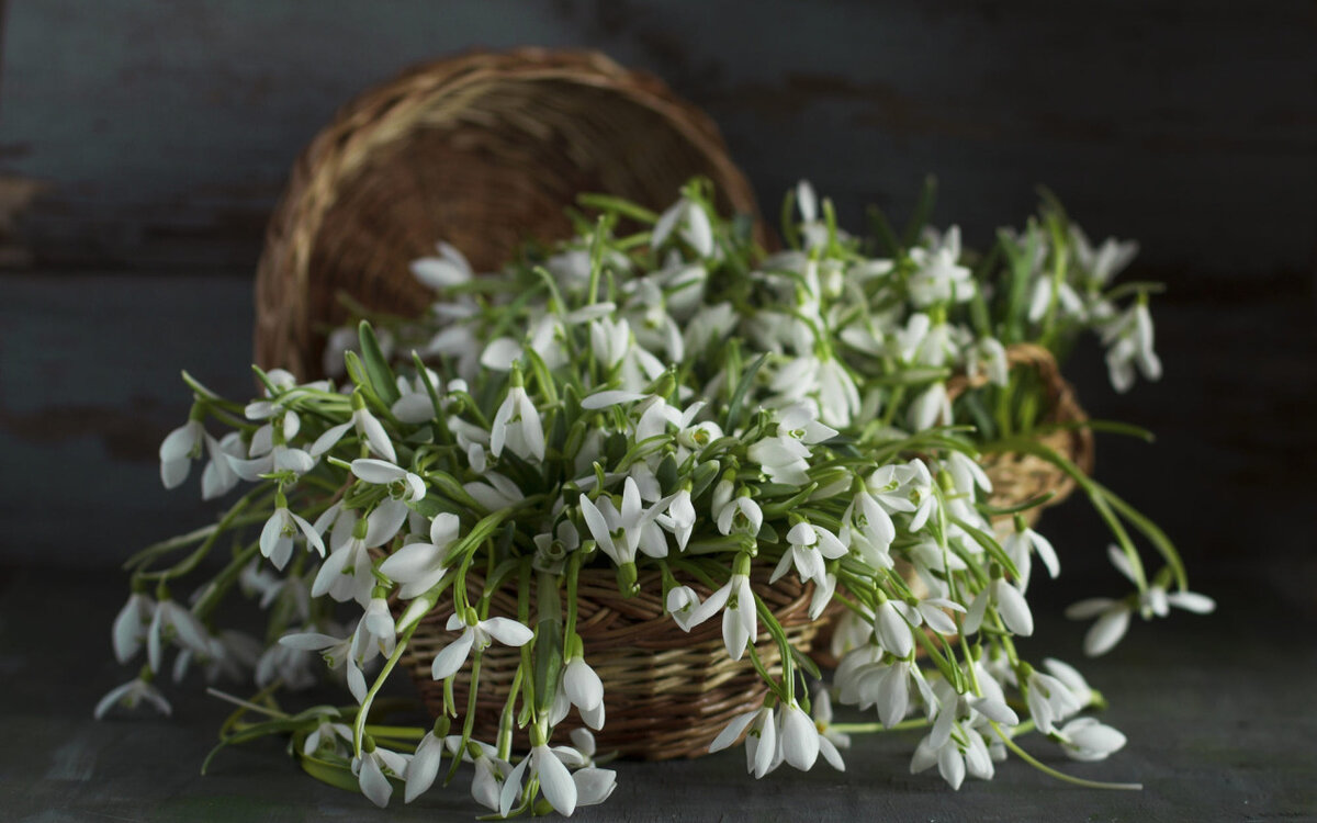 Найдено в интернете
