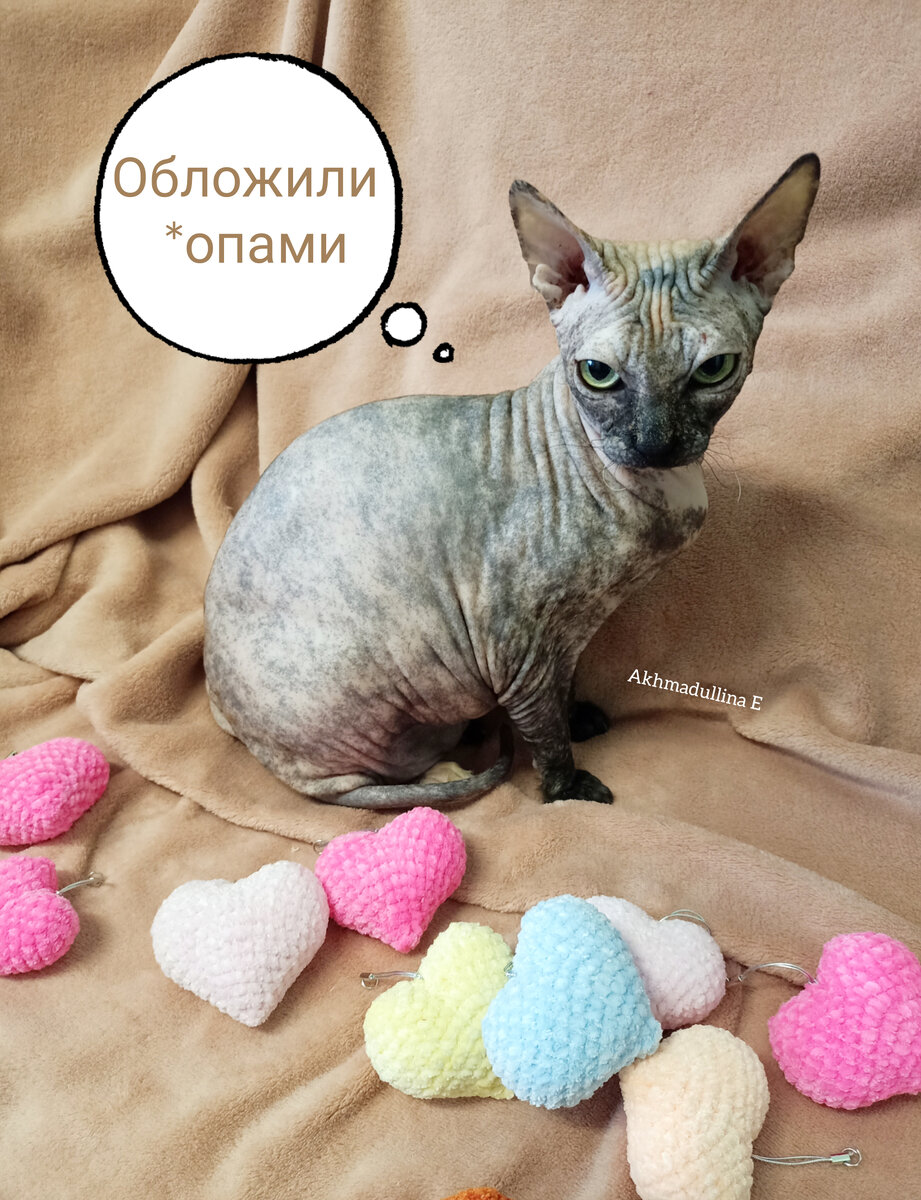 Эй, Дина, я вообще-то вязала, старалась 🤨