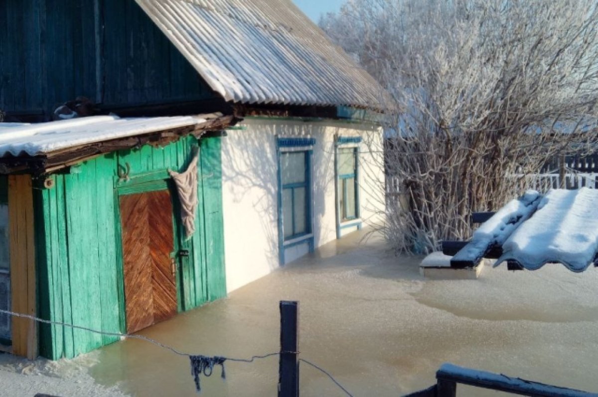   Грунтовые воды перестали подниматься в затопленном СНТ Читы
