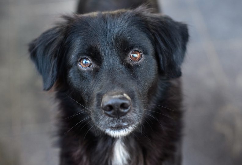 Однажды отец рассказал мне о своём однокласснике...