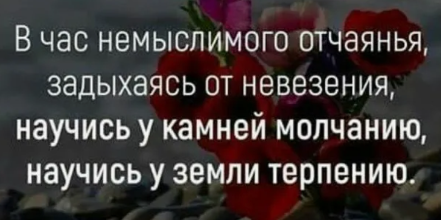 о жизни людей рассказывает. цитаты про гениев. навязываться к человеку цитаты. умные мысли. шекспир цитаты о любви.