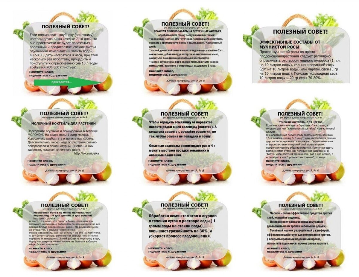 Фото открытых источников