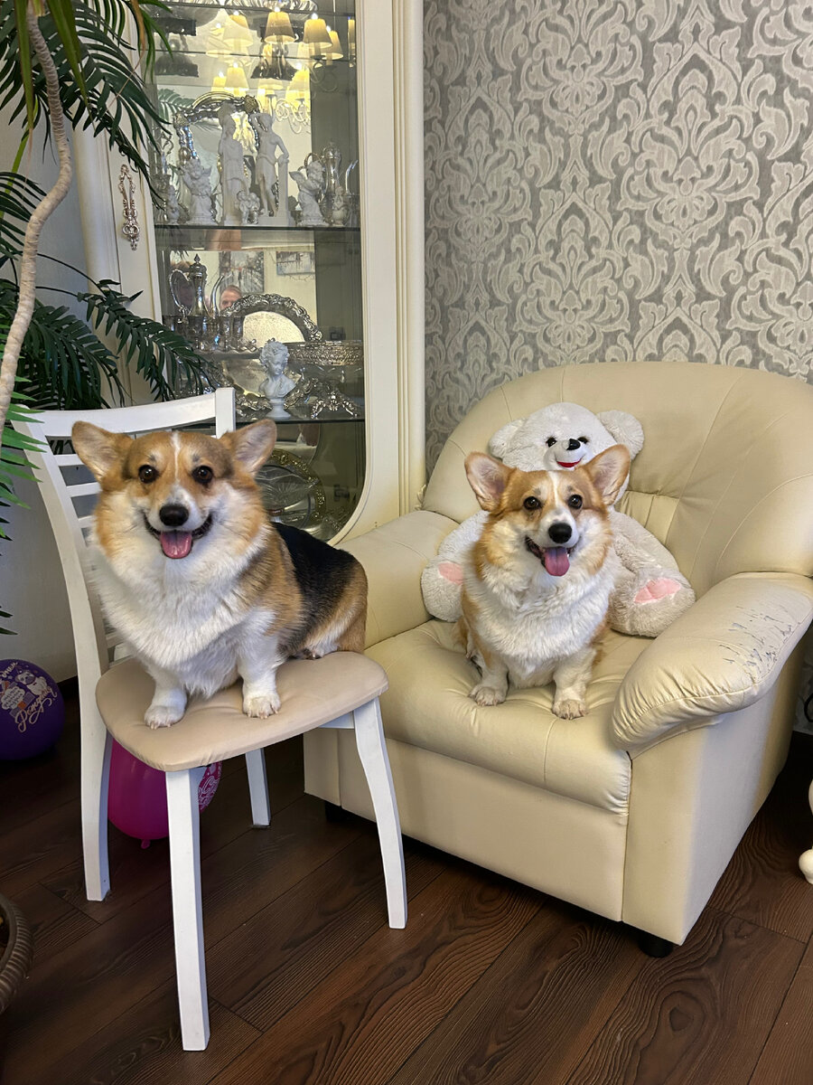 Язычки по Вторникам от Мэри и Мэгги!  👅👅