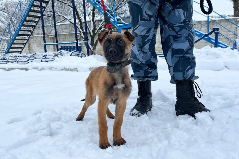    Фото: УФСИН по Ульяновской области