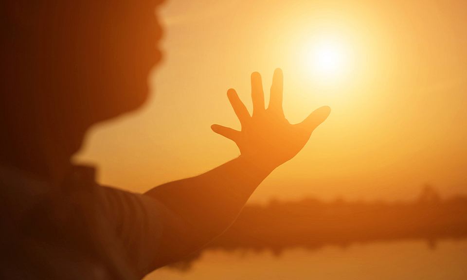 Фото с сайта vecteezy.com